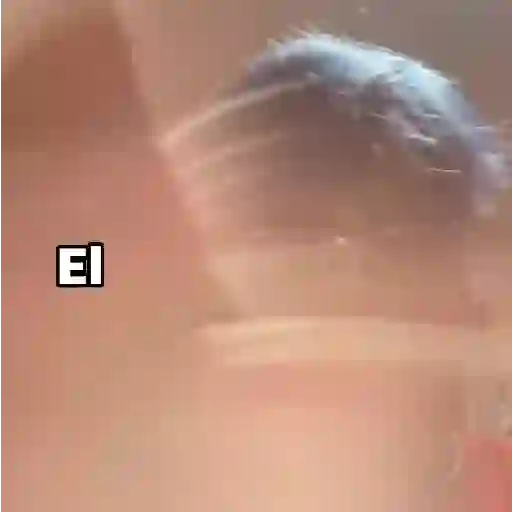 stickers_La_Matraca_/fajitas/tiktok_💥