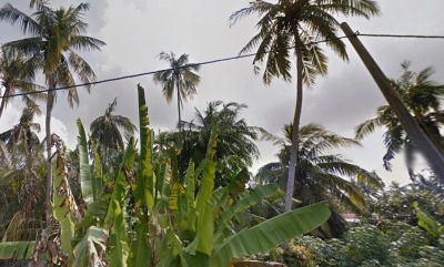 Malay Reserved Land, Very Cheap, 6.08 ac, Kampung Parit Empat, 45400 Tanjong Karang,