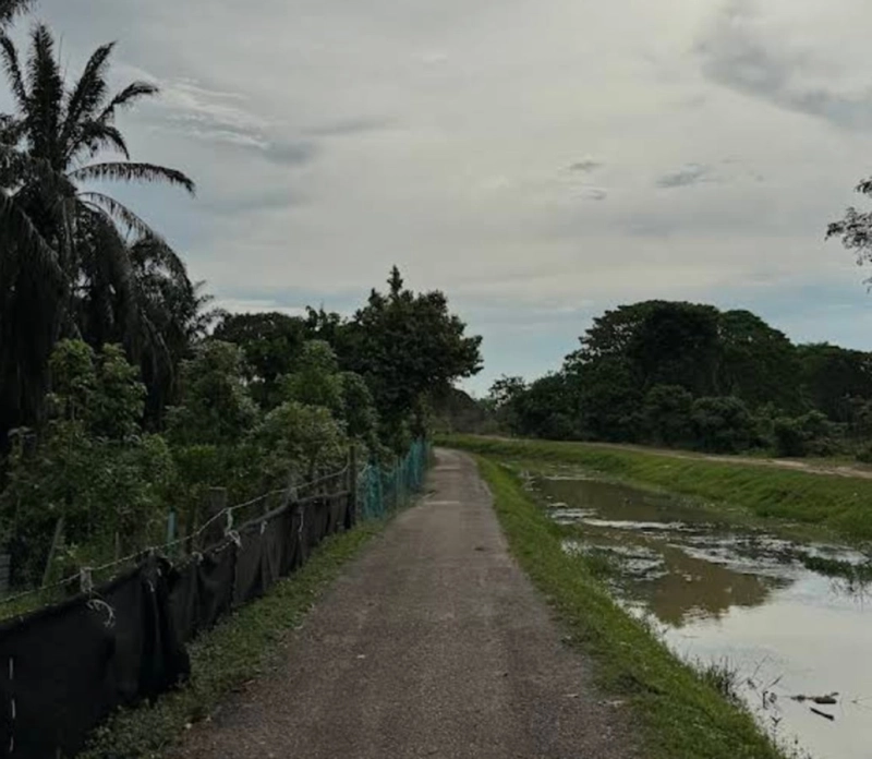 Industry Zoned Land, : 199.45 acres, Kubang Semang, 14400 Seberang Perai Utama, Penang