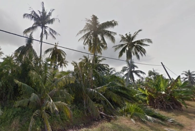 Malay Reserved Land, Very Cheap, 6.08 ac, Kampung Parit Empat, 45400 Tanjong Karang,