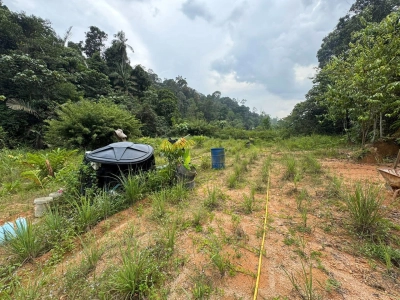 SUNGAI LONG HULU LANGAT TANAH PERTANIAN