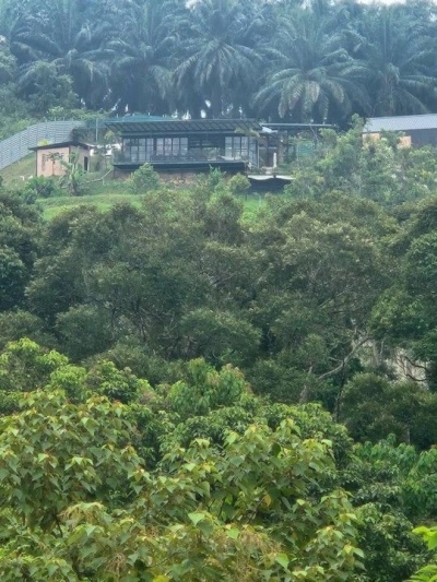 Sandalwood Farm, 3.05  ac, Kpg Kundur Hilir, , 71400 Pedas, Negeri Sembilan