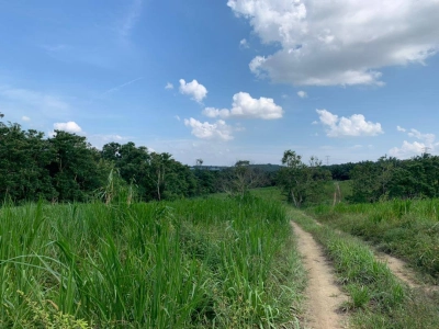 Sungai Tiram Agriculture Land for Sale