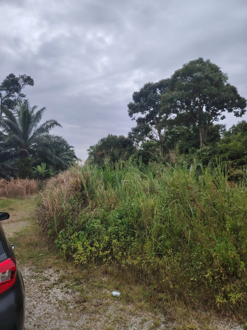 DENGKIL BATU 29 TANAH PERTANIAN