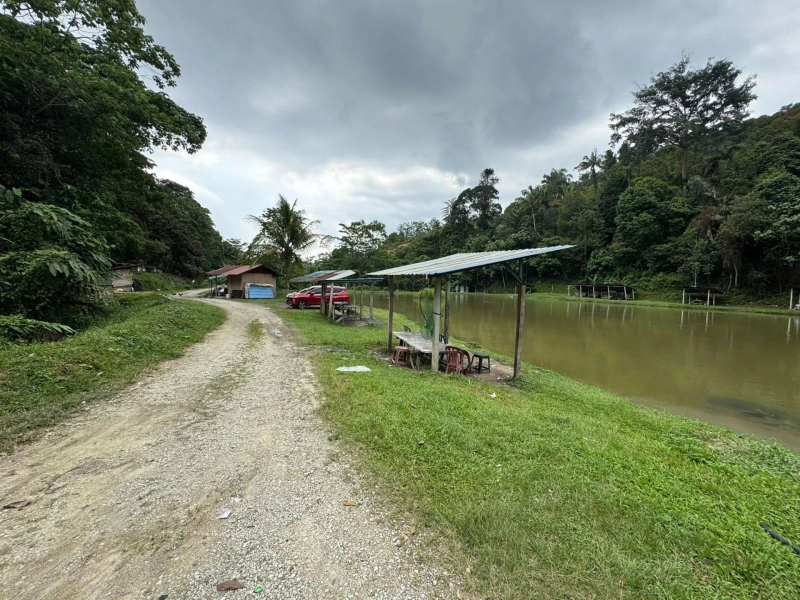 SUNGAI LONG HULU LANGAT TANAH PERTANIAN