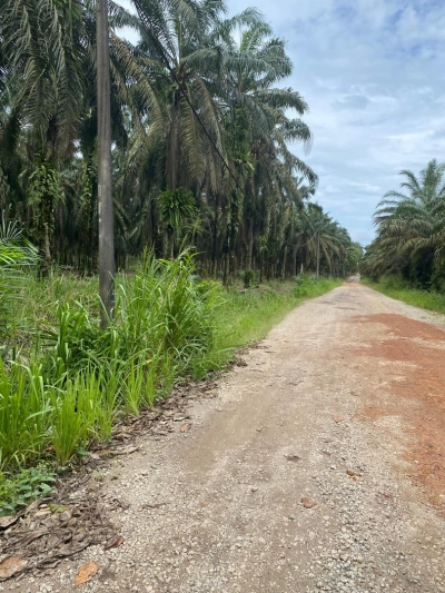 Kota Tinggi agriculture land for sale