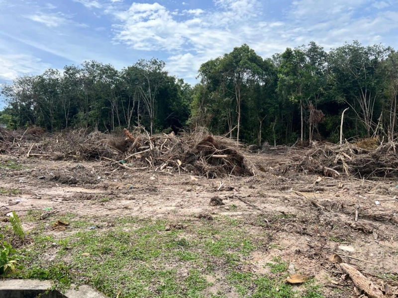 Tanah Pertanian Untuk Dijual