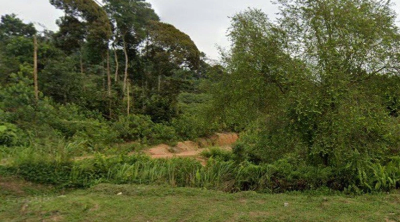 Seelong Agriculture Land For Sales