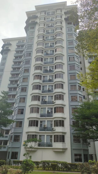 D'PUTERA CONDO KELANA JAYA, Actual, Freehold, RENOVATED, LOW Deposit