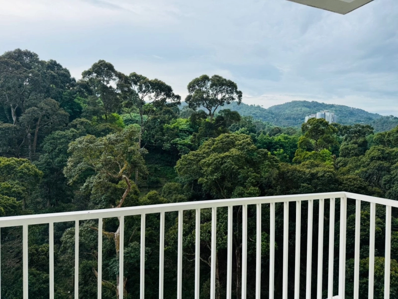 Setia Pinnacle Condo (Sg Ara)