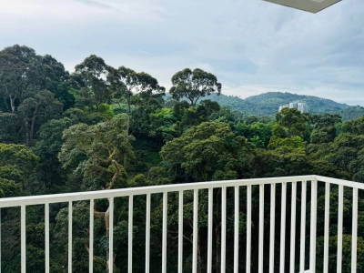 Setia Pinnacle Condo (Sg Ara)