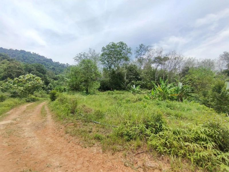 SUNGAI LUI HULU LANGAT TANAH PERTANIAN