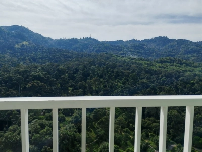 Setia Pinnacle, Sungai Ara. Partially Furnished with Refreshing Hillview