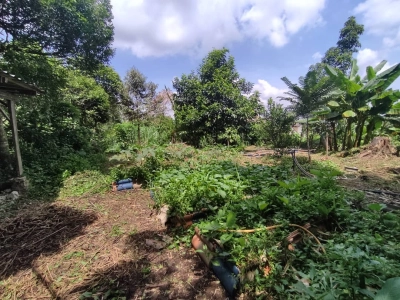 LESTARI PERDANA SERI KEMBANGAN SENI D