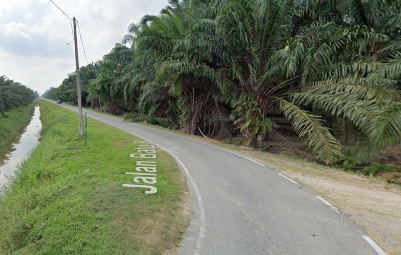 Agriculture Land, 4.99 ac, Jalan Batu 8, Kampung Sijangkang, 42500 Telok Panglima Garang, Selangor