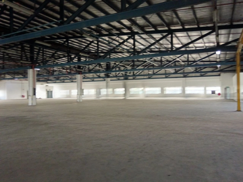 Tampoi factory sale