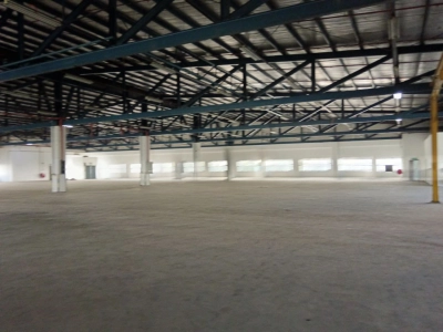 Tampoi factory sale