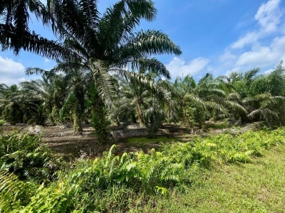 Teluk Kerang