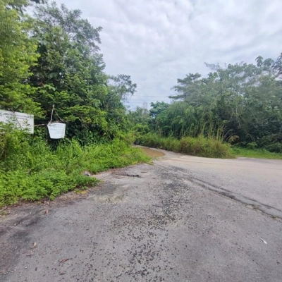 Agriculture Land, 2.08 ac, Lembah Beringin, Sungai Gumut, 44100 Selangor