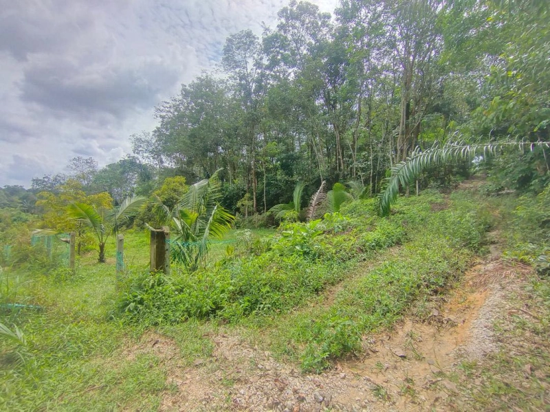 KUANG SUNGAI BULOH TANAH PERTANIAN