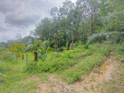 KUANG SUNGAI BULOH TANAH PERTANIAN