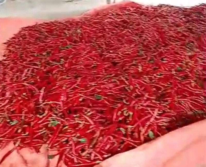 CHILLY FARM, 3.02 acres, off 195 Jalan Seremban, 71350 Siliau, Negeri Sembilan