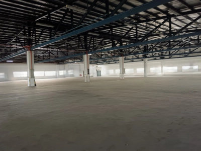 Tampoi factory sale