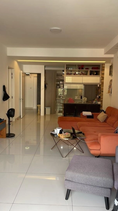 Arte S Condo Private Lift with 2 Car Park