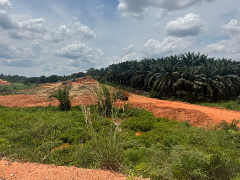 Seelong agriculture land for sale