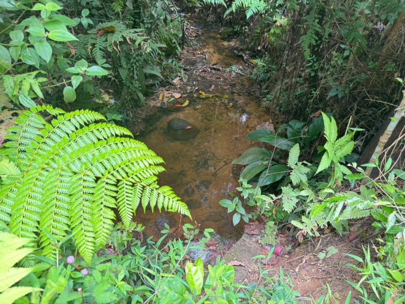 SUNGAI SENDAT ULU YAM TANAH PERTANIAN