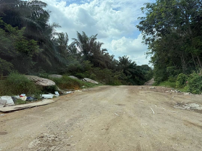 Senai Agricultural Land for Sale