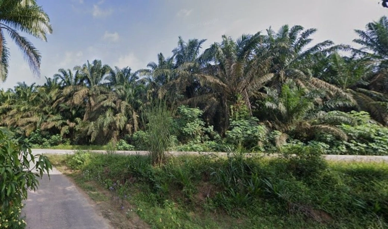 5498 acres, Jalan Kg Orang Asli Peta, Ulu Sungai Endau Mersing, 86900 Kahang, Kluang, Johor