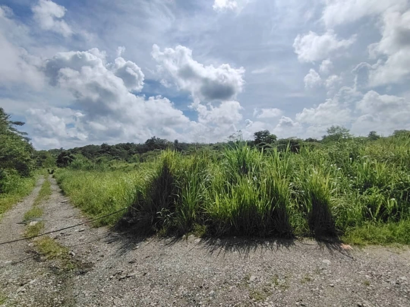 Sungai Tiram Industrial Land for Sales