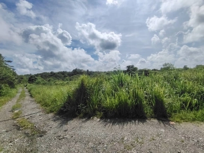 Sungai Tiram Industrial Land for Sales