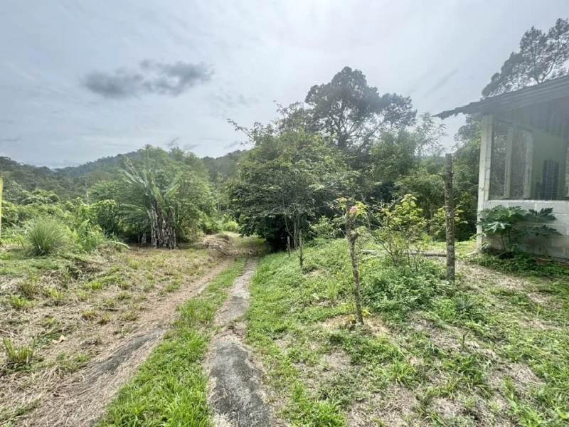 SUNGAI LUI HULU LANGAT TANAH PERTANIAN