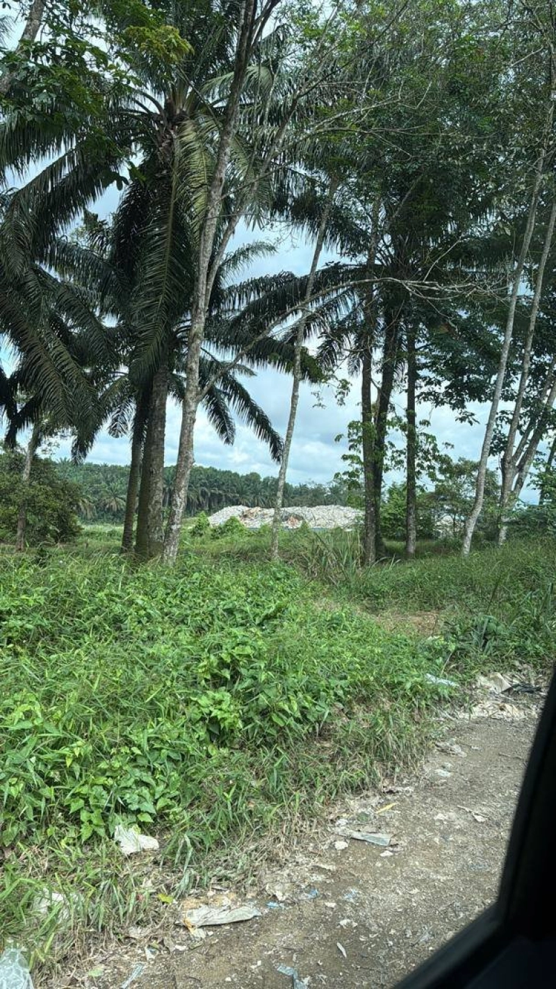 Senai Agricultural Land for Sale