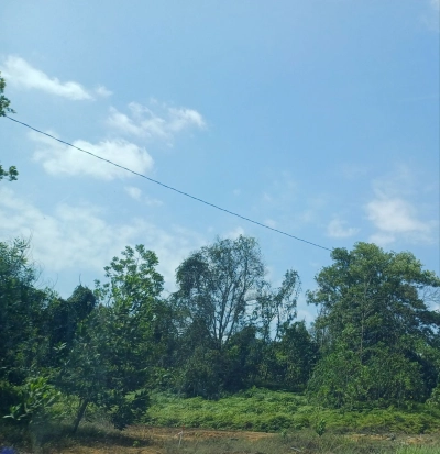 Gelang Patah Residential Land For Sale