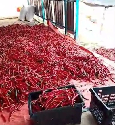 CHILLY FARM, 3.02 acres, off 195 Jalan Seremban, 71350 Siliau, Negeri Sembilan