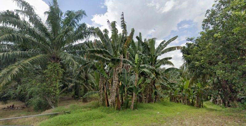 Kulai Agriculture Land For Sales