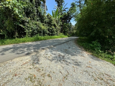 JANDA BAIK TANAH PERTANIAN