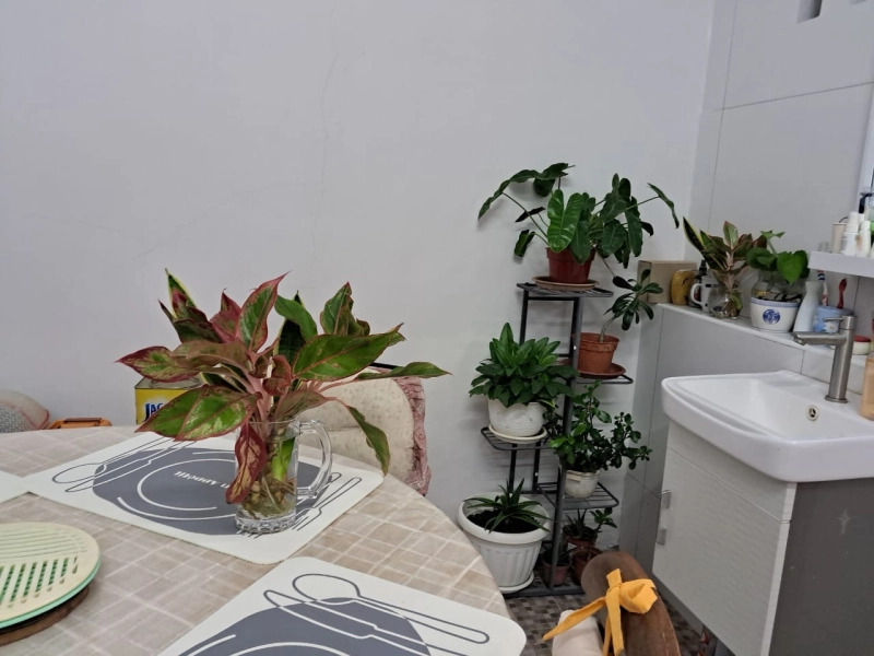 Island Glades , Lorong Delima Pulau Pinang