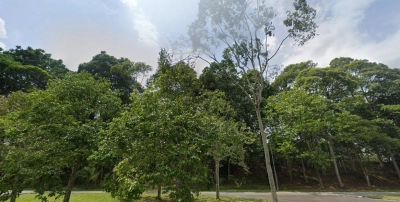 Gelang Patah Industrial Land For Sale