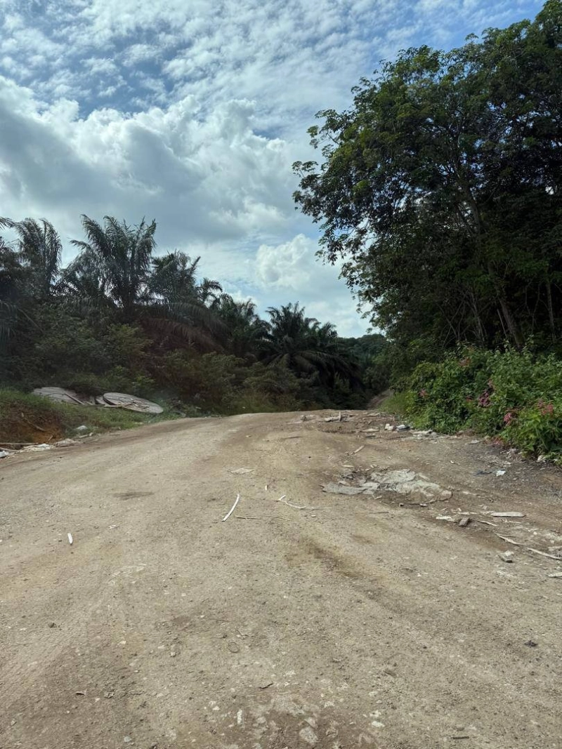 Senai Agricultural Land for Sale