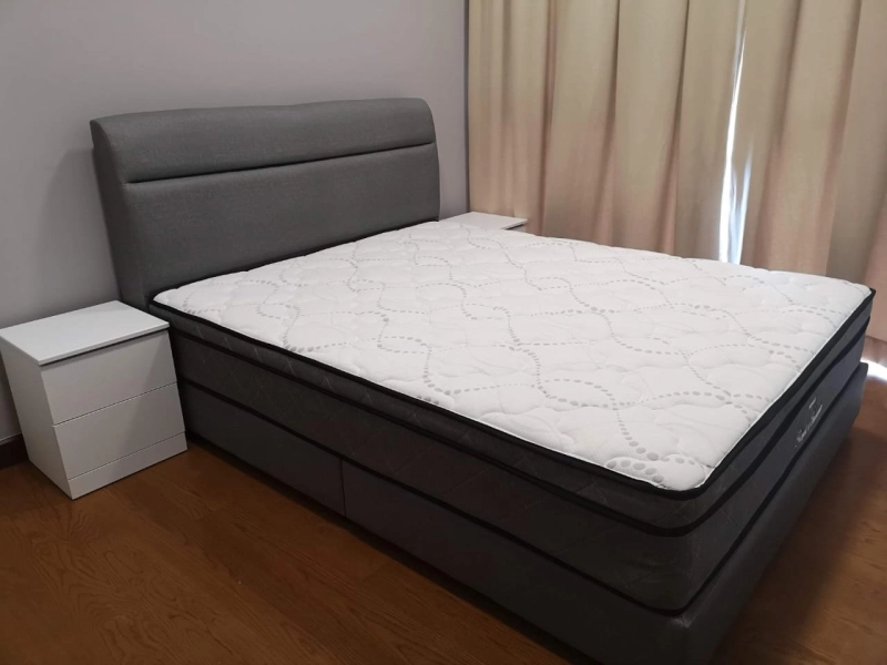 Paragon Residences @ Straits View