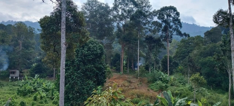 HULU LANGAT BATU 24 TANAH PERTANIAN