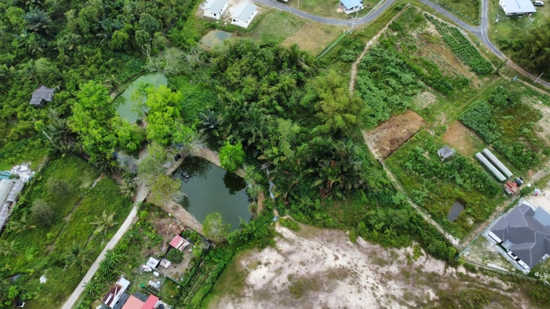 SEREMBAN KAMPUNG MAYOR TANAH PERTANIAN