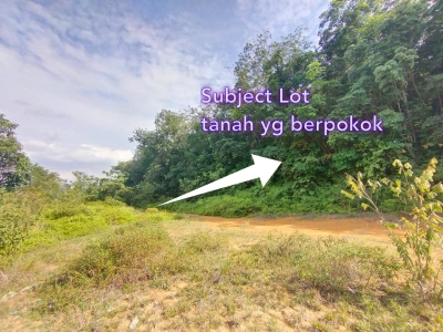 KUANG SUNGAI BULOH TANAH PERTANIAN