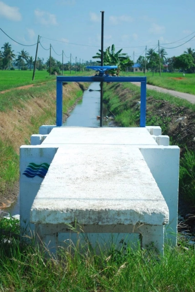 SEMPADAN SAWAH TANJUNG KARANG TANAH PERTANIAN
