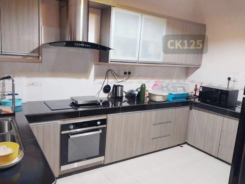 Bandar Puteri Klang Fully Extended Basic Reno Double Storey House