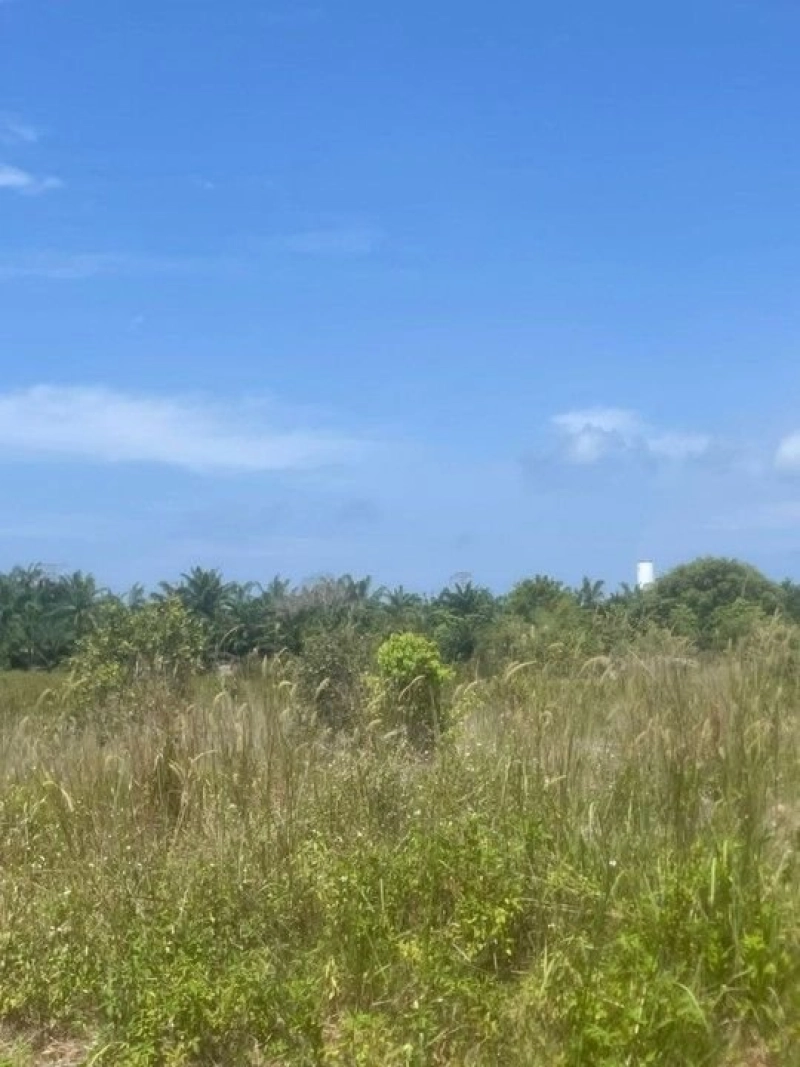 Land, Industry Zone, 4.61 acres, Main Road, Jimah Industrial Zone, Mukim Jimah, 71960 Port Dickson, Negeri Sembilan
